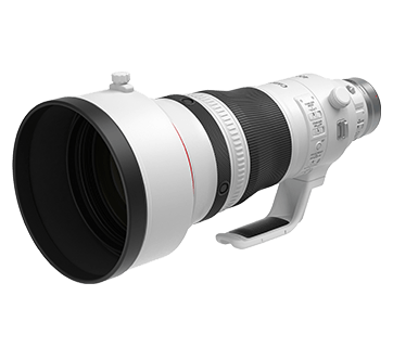 Ｃａｎｏｎ　ＥＦ400mmF2.8L　IS　Ⅱ　USM Review Canon EF 400mm f/2.8L IS III USM - Focus Review